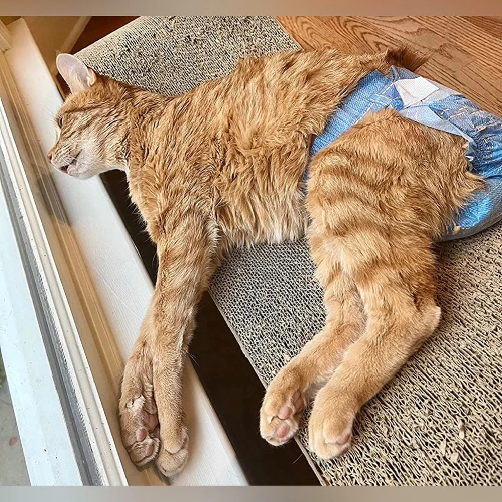 Pet Soft Doggie Disposable Diapers Female Puppy Cats 8pcs XS Jeans Pattern 2pk